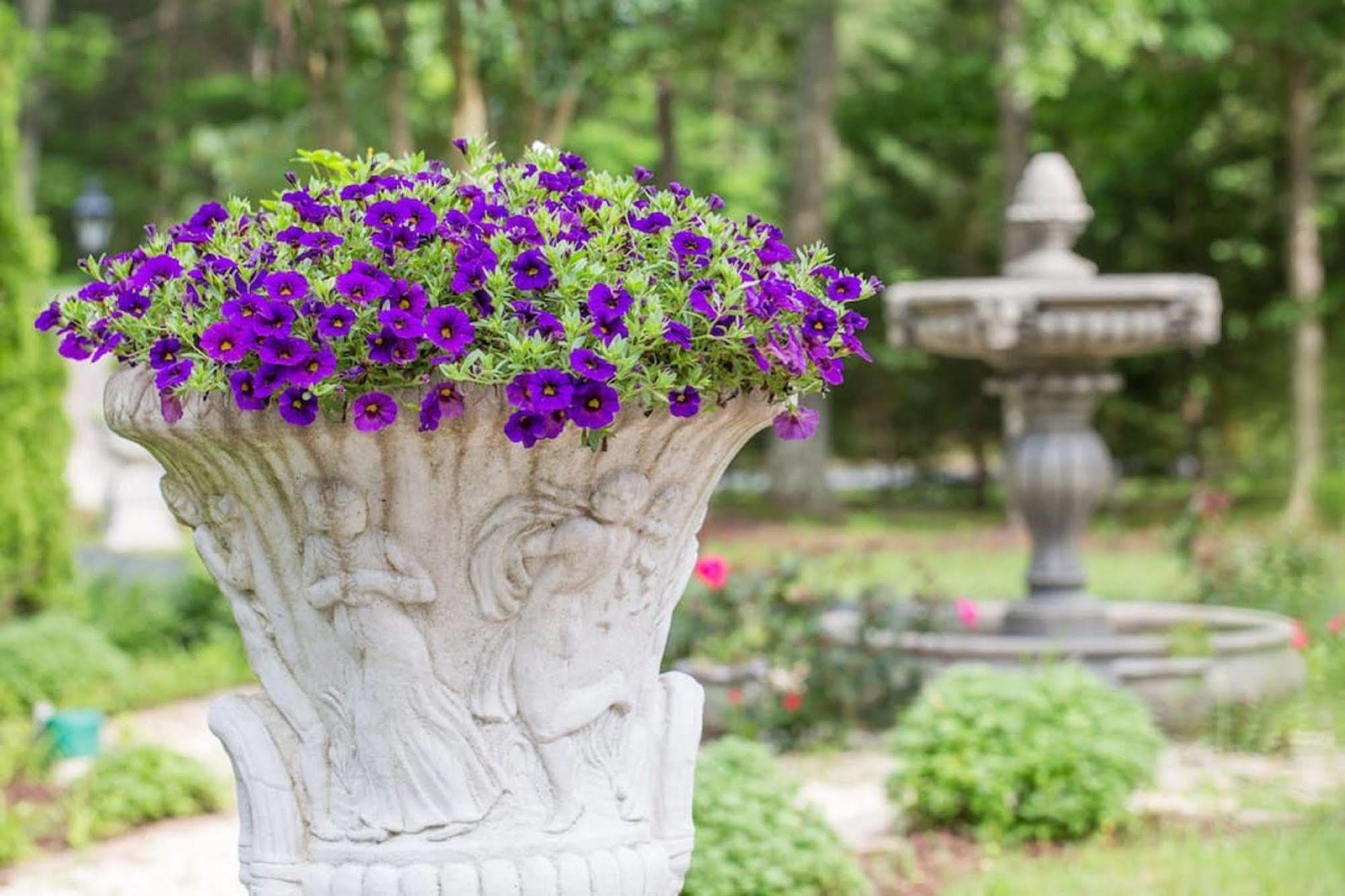 Rosewood Manor Bed & Breakfast Port Tobacco Экстерьер фото